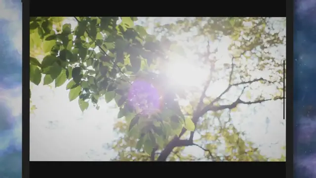 Video thumbnail for Maximizing Landscape Potential: Monterrey Oak Pros And Cons