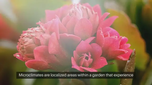 Video thumbnail for  Garden Microclimate Planning