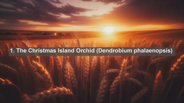 Video thumbnail for Unveiling Christmas Island's Botanical Wonders: Top 10 Native Flora You Must Explore!
