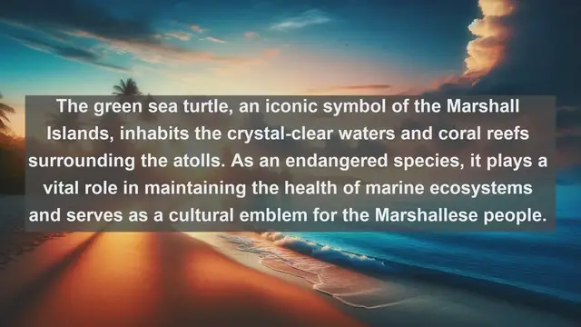 Video thumbnail for Top 10 native fauna in Marshall Islands