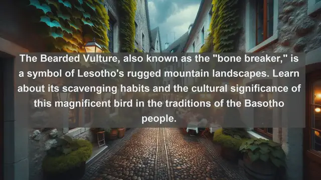 Video thumbnail for Wings of Lesotho: Exploring the Top 10 Native Birds of the Mountain Kingdom