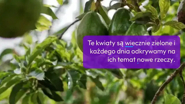Video thumbnail for Oto jak dbać o storczyki, aby zachować je na lata