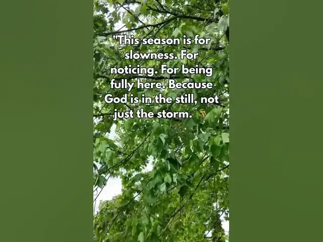 Video thumbnail for Reminder to cherish every moment this season #slowliving #motivational #mother #shorts