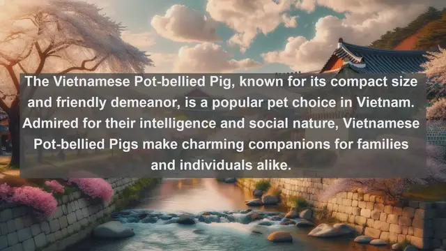 Video thumbnail for Vietnam's Top 10 Beloved Pets: Discover the Furry and Feathered Companions of Southeast Asia