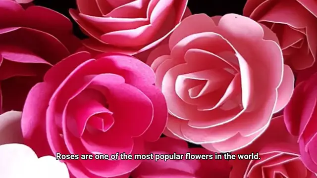 Video thumbnail for Different Types of Flowers