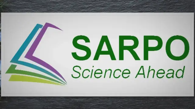 Video thumbnail for How To Transplant A Palm Tree | SARPO