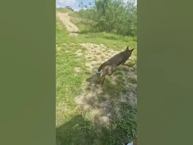 Video thumbnail for black and white