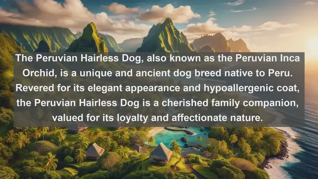 Video thumbnail for Peru's Pet Paradise: Discover the Top 10 Beloved Companions!