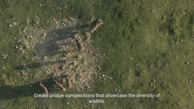 Video thumbnail for Capturing the Beauty of Wildlife - Photography Ideas