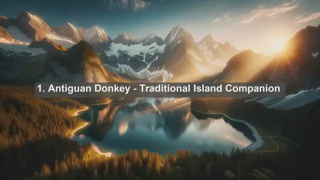 Video thumbnail for Pet Paradise in Antigua and Barbuda: Top 10 Beloved Pets Unveiled