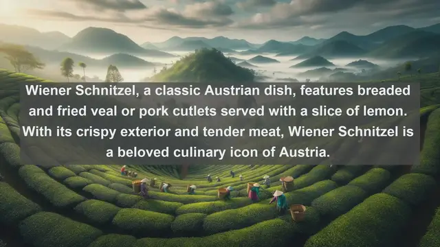 Video thumbnail for Taste of Austria: Explore the Top 10 Mouthwatering Austrian Dishes