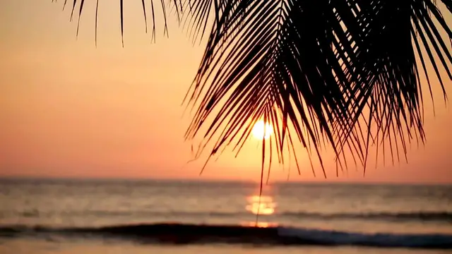 Video thumbnail for Discover Hawaii Top Attractions and Hidden Gems for Your Dream Vacation