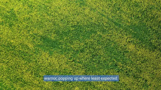 Video thumbnail for Weed humor: poking fun at pesky plants