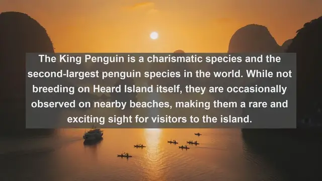 Video thumbnail for Unveiling the Hidden Wonders: Top 10 Native Animals of Heard Island