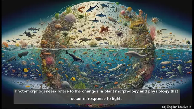 Video thumbnail for Photomorphogenesis in biology