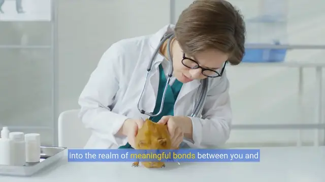 Video thumbnail for Bonding with Your Guinea Pig: Fun & Easy Tips!