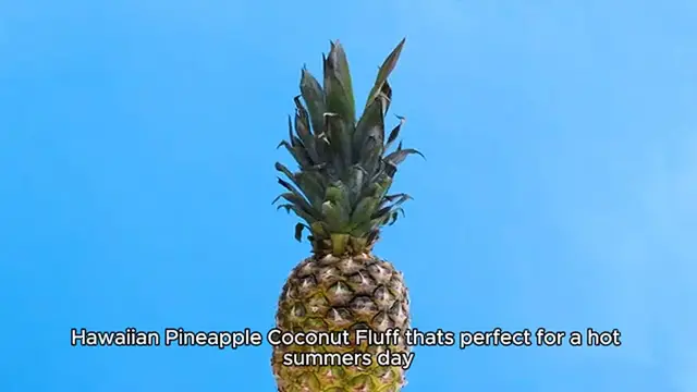 Video thumbnail for Hawaiian Pineapple Coconut Fluff recipe