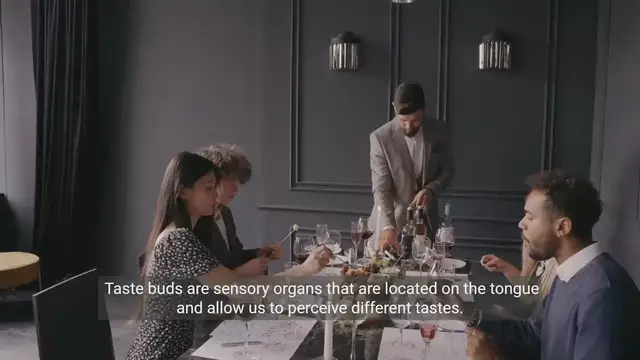 Video thumbnail for The Science of Taste Buds and Olfactory Receptors