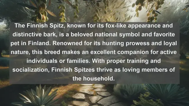 Video thumbnail for Discover Finland's Furry Friends: Top 10 Favorite Pets in Finland