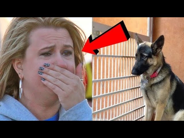 Video thumbnail for Rescued Dog Stayed Awake All Night – The Truth Will Shock You