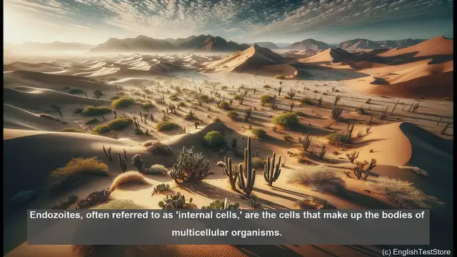 Video thumbnail for Endozoite in biology - meaning, definition and examples