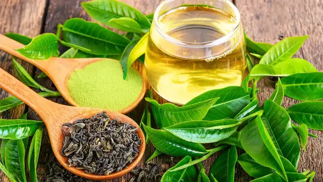 'Video thumbnail for The Power of Green Tea Extract: Improving Gut Health and Metabolic Syndrome'