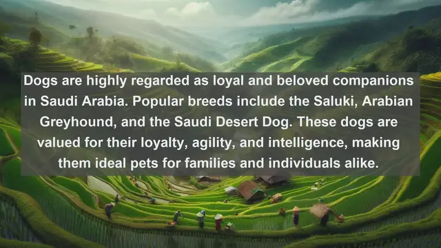 Video thumbnail for Discover the Best Pet Companions: Top 10 Favorite Pets in Saudi Arabia