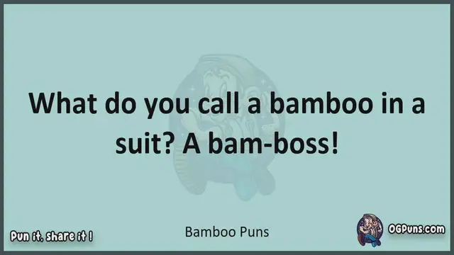 Video thumbnail for Bamboo - Jokes, Puns, Wordplays, and Laughter