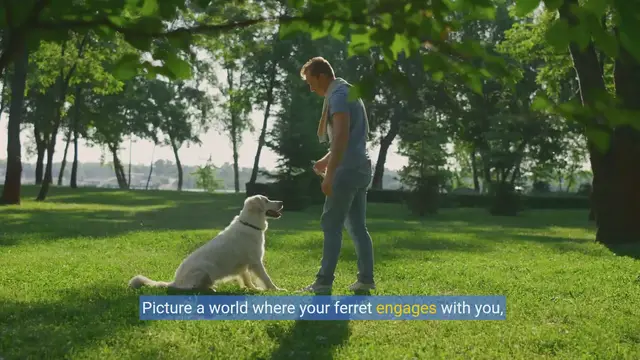 Video thumbnail for Ferret Fun: Mastering Tricks with Your Furry Friend!