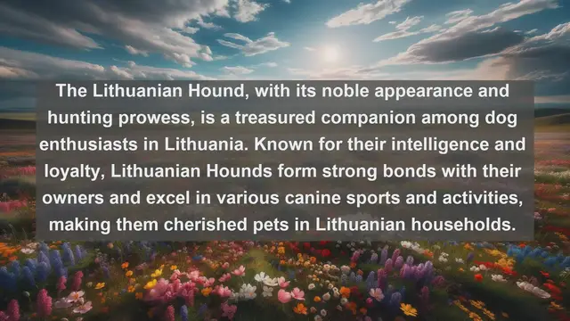 Video thumbnail for Lithuania's Most Beloved Companions: Top 10 Favorite Pets Revealed