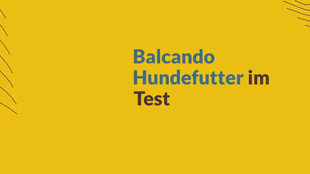 Video thumbnail for Belcando Hundefutter im Test: Wie gut ist es wirklich? (2024)