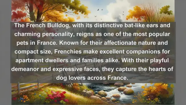 Video thumbnail for Vive la France: Exploring the Top 10 Favorite Pets in France