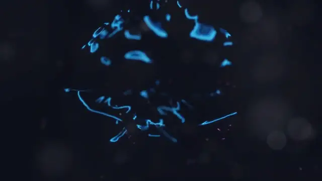 Video thumbnail for Google's AI BRAIN Just Unlocked Secrets of Real Brains #ai