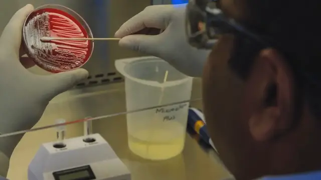 'Video thumbnail for Top Government Exams for MSc Microbiology Graduates'