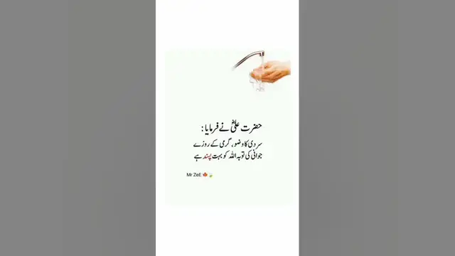 'Video thumbnail for beshak 鉂わ笍#religion #islamicvideo #islam #2k24 #islamicsshorts #qurancover #hazratali'
