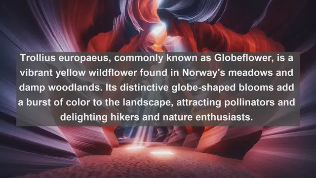 Video thumbnail for Exploring Norway's Botanical Wonders: Top 10 Native Plants Revealed