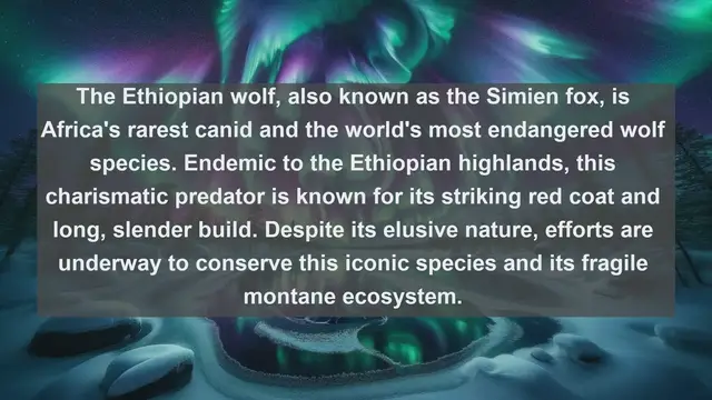 Video thumbnail for Exploring Ethiopia's Wildlife Wonders: Top 10 Native Animals