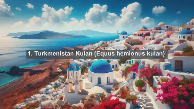 Video thumbnail for Exploring Turkmenistan's Wildlife: Top 10 Native Fauna Species