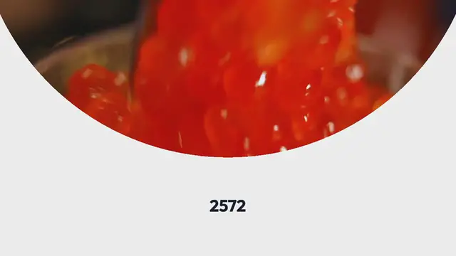 Video thumbnail for Salmon Patties