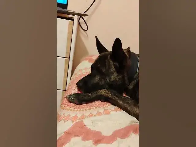 Video thumbnail for November 12, 2025