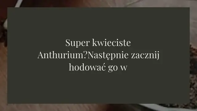 Video thumbnail for Super kwitnące Anthurium: jak je hodować w wodzie, jeśli chcesz, żeby było bujne przez lata