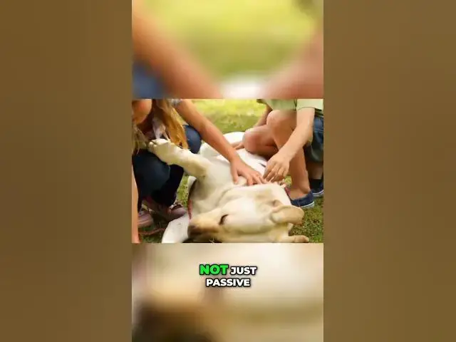 'Video thumbnail for The Heartwarming Connection Between Max the Dog and Children'