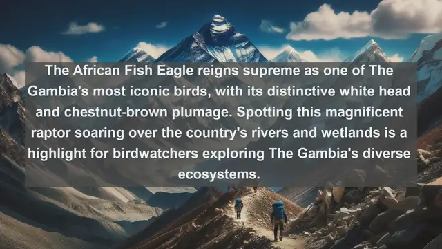 Video thumbnail for Top 10 native birds in The Gambia