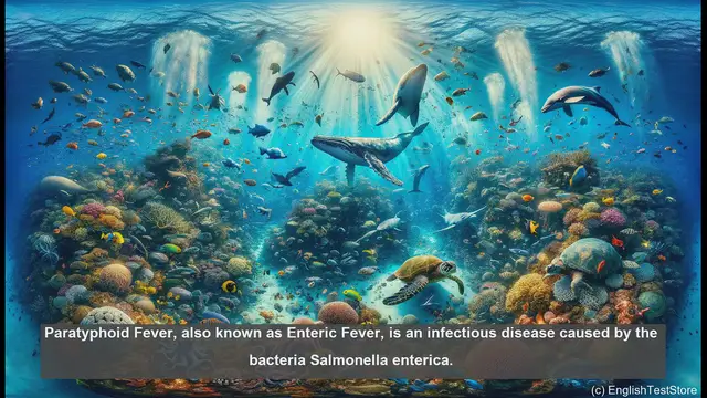 Video thumbnail for Paratyphoid fever in biology