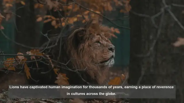 Video thumbnail for 10 Reasons Why Lions Are Revered Across Cultures
