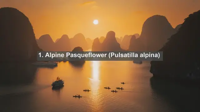 Video thumbnail for Exploring Slovenia's Botanical Wonders: Top 10 Native Plants in Slovenia