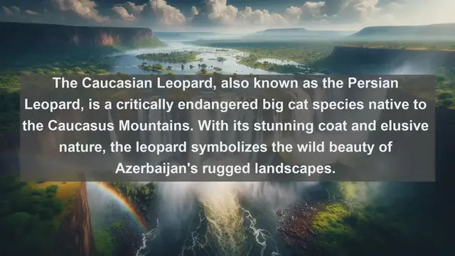 Video thumbnail for Discover the Wildlife Wonders: Top 10 Native Animals in Azerbaijan