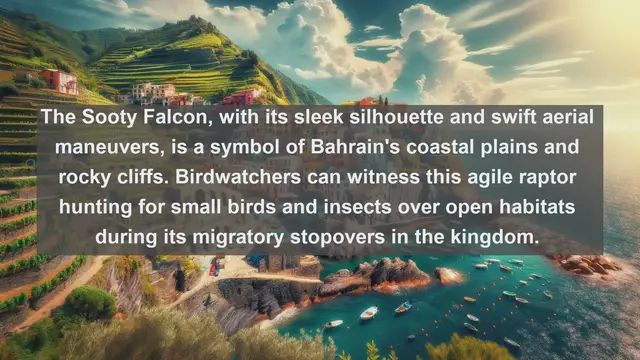 Video thumbnail for Wings of Bahrain: Top 10 Native Birds of the Kingdom