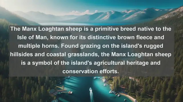 Video thumbnail for Discovering Isle of Man's Wildlife: Top 10 Native Animals You Can't Miss!