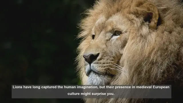 Video thumbnail for Lions in Medieval Europe: 10 Fascinating Historical References
